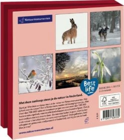 Bekking & Blitz - Dossier De Cartes De Noël - Set De Cartes De Noël - Cartes D'art - 10 Pièces - Y Compris Les Enveloppes - Design Uniek - Hiver - Natuurmonumenten -Decoris Boutique 1067x1200