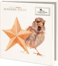 Bekking & Blitz - Pochette De Cartes De Noël - Set De Cartes De Noël - Cartes D'art - 10 Pièces - Y Compris Les Enveloppes - Design Uniek - Vogels - Oiseaux De Saison - Angelique Weijers - Vogelbescherming