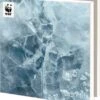 Bekking & Blitz - Dossier De Cartes De Noël - Set De Cartes De Noël - Cartes D'art - 10 Pièces - Y Compris Les Enveloppes - Design Uniek - Photos De La Nature - De Près - World Wildlife Fund