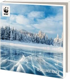 Bekking & Blitz - Dossier De Cartes De Noël - Set De Cartes De Noël - Cartes D'art - 10 Pièces - Y Compris Les Enveloppes - Design Uniek - Arbres Enneigés - Fonds Mondial Pour La Nature