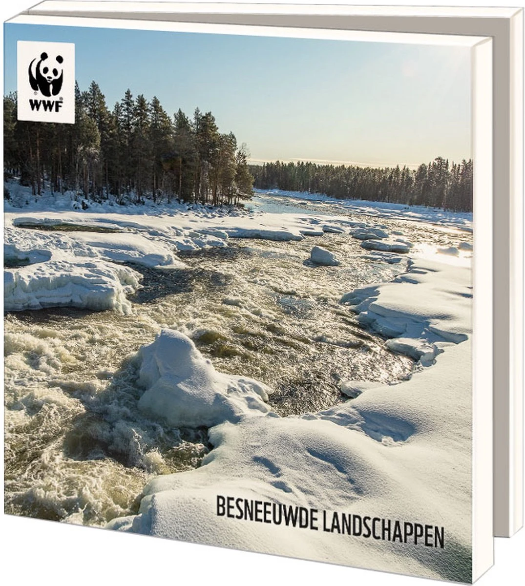 Bekking & Blitz - Dossier De Cartes De Noël - Set De Cartes De Noël - Cartes D'art - 10 Pièces - Y Compris Les Enveloppes - Design Uniek - Paysages Enneigés - Fonds Mondial Pour La Nature 3 Bekking & Blitz - Dossier De Cartes De Noël - Set De Cartes De Noël - Cartes D'art - 10 Pièces - Y Compris Les Enveloppes - Design Uniek - Paysages Enneigés - Fonds Mondial Pour La Nature