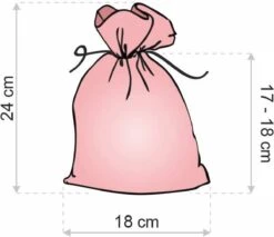 Sacs De Noël Organza - 18 X 24 Cm - 10 Pcs - Ecru Or Argent - Emballage De Noël Décoration De Noël Décorations De Noël De Noël -Decoris Boutique 1200x1037 2