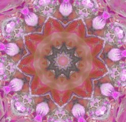 Mandala/Kaléidoscope/ Cartes De Vœux De Noël De Kittyblumcards. Grandes Cartes Doubles Avec Enveloppe. Look Chique Avec Intérieur Vierge. Rappelle également Les Cœurs De Fleurs. Couleurs Bleu, Rouge, Jaune Et Multicolore. -Decoris Boutique 1200x1168