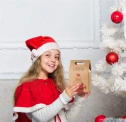 Hemoton Sacs Cadeaux Avec Poignée En Papier Kraft Lot De 16 Sacs Cadeaux De Noël Sacs En Papier Organisateur De Bonbons Au Chocolat Boîte Cadeau Sac De Fête D'anniversaire 11 X 7 X 17,5 Cm 12 Hemoton Sacs Cadeaux Avec Poignée En Papier Kraft Lot De 16 Sacs Cadeaux De Noël Sacs En Papier Organisateur De Bonbons Au Chocolat Boîte Cadeau Sac De Fête D'anniversaire 11 X 7 X 17,5 Cm -Decoris Boutique 1200x1171 1