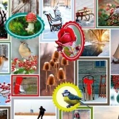 Emballage Cadeau Noël - Impression 7 - 70cm - 200m - 80gr | Rouleau De Magasin / Rouleau De Dispositif / Rouleau De Compteur / Papier Cadeau / Papier Cadeau / Papier D'emballage