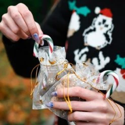 Sacs De Noël Organza | 15 X 20 Cm | 10 Pièces | Ecru Or Argent | Emballage De Noël Décoration De Décorations De Noël Décorations De Noël -Decoris Boutique 1200x1200 342