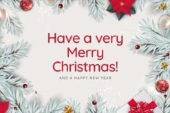 Idée Cadeau ! | Set De Cartes Postales De Luxe Nouvel An Et Noël 10x15 Cm | 24 Pièces | Cartes De Vœux Nouvel An 2022 Et Noël -Decoris Boutique 1200x799 2