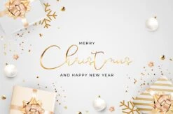 Idée Cadeau ! | Set De Cartes Postales De Luxe Nouvel An Et Noël 10x15 Cm | 24 Pièces | Cartes De Vœux Nouvel An 2022 Et Noël -Decoris Boutique 1200x799 7