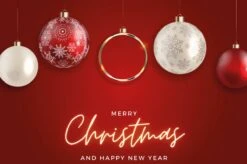 Idée Cadeau ! | Set De Cartes Postales De Luxe Nouvel An Et Noël 10x15 Cm | 24 Pièces | Cartes De Vœux Nouvel An 2022 Et Noël -Decoris Boutique 1200x799 8