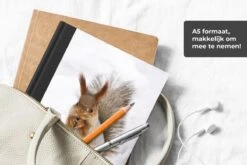 Cahier - Carnet D'écriture - Écureuil - Animal - Neige - Carnet - Format A5 - Bloc-notes - Noël - Cadeau - Cadeau De Noël Homme, Femme Et Enfant 12 Cahier - Carnet D'écriture - Écureuil - Animal - Neige - Carnet - Format A5 - Bloc-notes - Noël - Cadeau - Cadeau De Noël Homme, Femme Et Enfant -Decoris Boutique 1200x800 1060