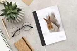 Cahier - Carnet D'écriture - Écureuil - Animal - Neige - Carnet - Format A5 - Bloc-notes - Noël - Cadeau - Cadeau De Noël Homme, Femme Et Enfant 13 Cahier - Carnet D'écriture - Écureuil - Animal - Neige - Carnet - Format A5 - Bloc-notes - Noël - Cadeau - Cadeau De Noël Homme, Femme Et Enfant -Decoris Boutique 1200x800 1061