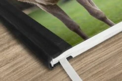 Carnet - Carnet D'écriture - Un Renne Dans Le Parc National Du Lac Khovsgol En Mongolie - Carnet - Format A5 - Bloc-notes - Noël - Cadeau - Cadeau De Noël Pour Hommes, Femmes Et Enfants -Decoris Boutique 1200x800 1170