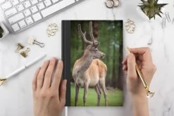 Carnet - Carnet D'écriture - Un Renne Dans Le Parc National Du Lac Khovsgol En Mongolie - Carnet - Format A5 - Bloc-notes - Noël - Cadeau - Cadeau De Noël Pour Hommes, Femmes Et Enfants -Decoris Boutique 1200x800 1172