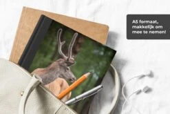 Carnet - Carnet D'écriture - Un Renne Dans Le Parc National Du Lac Khovsgol En Mongolie - Carnet - Format A5 - Bloc-notes - Noël - Cadeau - Cadeau De Noël Pour Hommes, Femmes Et Enfants -Decoris Boutique 1200x800 1173