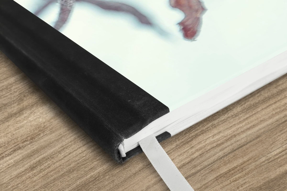 Carnet - Cahier - Plantes - Hiver - Neige - Nature - Carnet - Format A5 - Bloc-notes - Noël - Cadeau - Cadeau De Noël Homme, Femme Et Enfant 4 Carnet - Cahier - Plantes - Hiver - Neige - Nature - Carnet - Format A5 - Bloc-notes - Noël - Cadeau - Cadeau De Noël Homme, Femme Et Enfant – Image 2