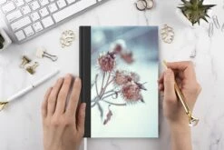 Carnet - Cahier - Plantes - Hiver - Neige - Nature - Carnet - Format A5 - Bloc-notes - Noël - Cadeau - Cadeau De Noël Homme, Femme Et Enfant 10 Carnet - Cahier - Plantes - Hiver - Neige - Nature - Carnet - Format A5 - Bloc-notes - Noël - Cadeau - Cadeau De Noël Homme, Femme Et Enfant -Decoris Boutique 1200x800 573