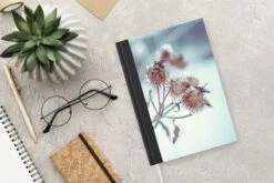 Carnet - Cahier - Plantes - Hiver - Neige - Nature - Carnet - Format A5 - Bloc-notes - Noël - Cadeau - Cadeau De Noël Homme, Femme Et Enfant 11 Carnet - Cahier - Plantes - Hiver - Neige - Nature - Carnet - Format A5 - Bloc-notes - Noël - Cadeau - Cadeau De Noël Homme, Femme Et Enfant -Decoris Boutique 1200x800 574