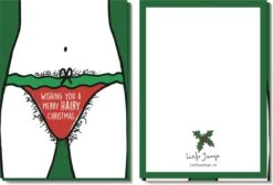 Aime Jansje | Mauvaises Cartes De Noël | 12 Cartes Simples (6x2) Avec Enveloppe + Autocollant De Cachetage | Cartes De Noël Coquines | Cartes De Noël Avec Un Clin D'oeil | Cartes De Noël Drôles | Humour De Cartes De Noël | Carte De Noël -Decoris Boutique 1200x816 1