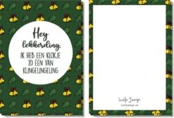 Aime Jansje | Mauvaises Cartes De Noël | 12 Cartes Simples (6x2) Avec Enveloppe + Autocollant De Cachetage | Cartes De Noël Coquines | Cartes De Noël Avec Un Clin D'oeil | Cartes De Noël Drôles | Humour De Cartes De Noël | Carte De Noël -Decoris Boutique 1200x816 4