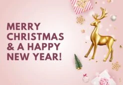 Idée Cadeau ! | Set De Cartes Postales De Luxe Nouvel An Et Noël 10x15 Cm | 24 Pièces | Cartes De Vœux Nouvel An 2022 Et Noël -Decoris Boutique 1200x834