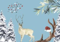 Cartes De Noël Joons Lot De 18 Cartes A6 De Luxe - Carte De Noël Cartes De Noël Cartes De Noël De Luxe Cartes Du Nouvel An 12 Cartes De Noël Joons Lot De 18 Cartes A6 De Luxe - Carte De Noël Cartes De Noël Cartes De Noël De Luxe Cartes Du Nouvel An -Decoris Boutique 1200x850