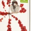 Bekking & Blitz - Dossier De Cartes De Noël - Set De Cartes De Noël - Cartes D'art - 10 Pièces - Y Compris Les Enveloppes - Design Uniek - Oiseaux De Saison - Angelique Weijers - Natuurpunt -Decoris Boutique 780x1200 10