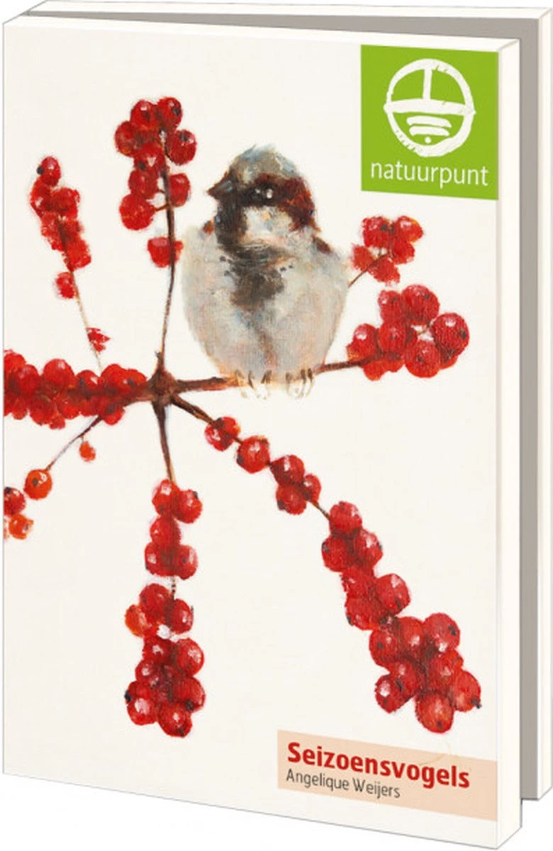 Bekking & Blitz - Dossier De Cartes De Noël - Set De Cartes De Noël - Cartes D'art - 10 Pièces - Y Compris Les Enveloppes - Design Uniek - Oiseaux De Saison - Angelique Weijers - Natuurpunt 3 Bekking & Blitz - Dossier De Cartes De Noël - Set De Cartes De Noël - Cartes D'art - 10 Pièces - Y Compris Les Enveloppes - Design Uniek - Oiseaux De Saison - Angelique Weijers - Natuurpunt