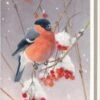 Bekking & Blitz - Dossier De Cartes De Noël - Set De Cartes De Noël - Cartes D'art - 10 Pièces - Y Compris Les Enveloppes - Design Uniek - Vogels - Oiseaux D'hiver - Oiseaux D'hiver - Elwin Van Der Kolk 1 Bekking & Blitz - Dossier De Cartes De Noël - Set De Cartes De Noël - Cartes D'art - 10 Pièces - Y Compris Les Enveloppes - Design Uniek - Vogels - Oiseaux D'hiver - Oiseaux D'hiver - Elwin Van Der Kolk -Decoris Boutique 780x1200 4