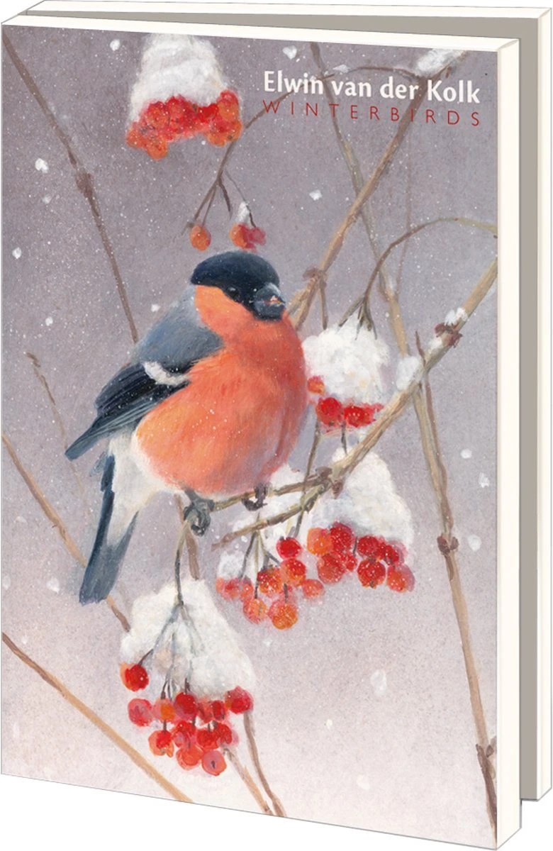 Bekking & Blitz - Dossier De Cartes De Noël - Set De Cartes De Noël - Cartes D'art - 10 Pièces - Y Compris Les Enveloppes - Design Uniek - Vogels - Oiseaux D'hiver - Oiseaux D'hiver - Elwin Van Der Kolk 3 Bekking & Blitz - Dossier De Cartes De Noël - Set De Cartes De Noël - Cartes D'art - 10 Pièces - Y Compris Les Enveloppes - Design Uniek - Vogels - Oiseaux D'hiver - Oiseaux D'hiver - Elwin Van Der Kolk