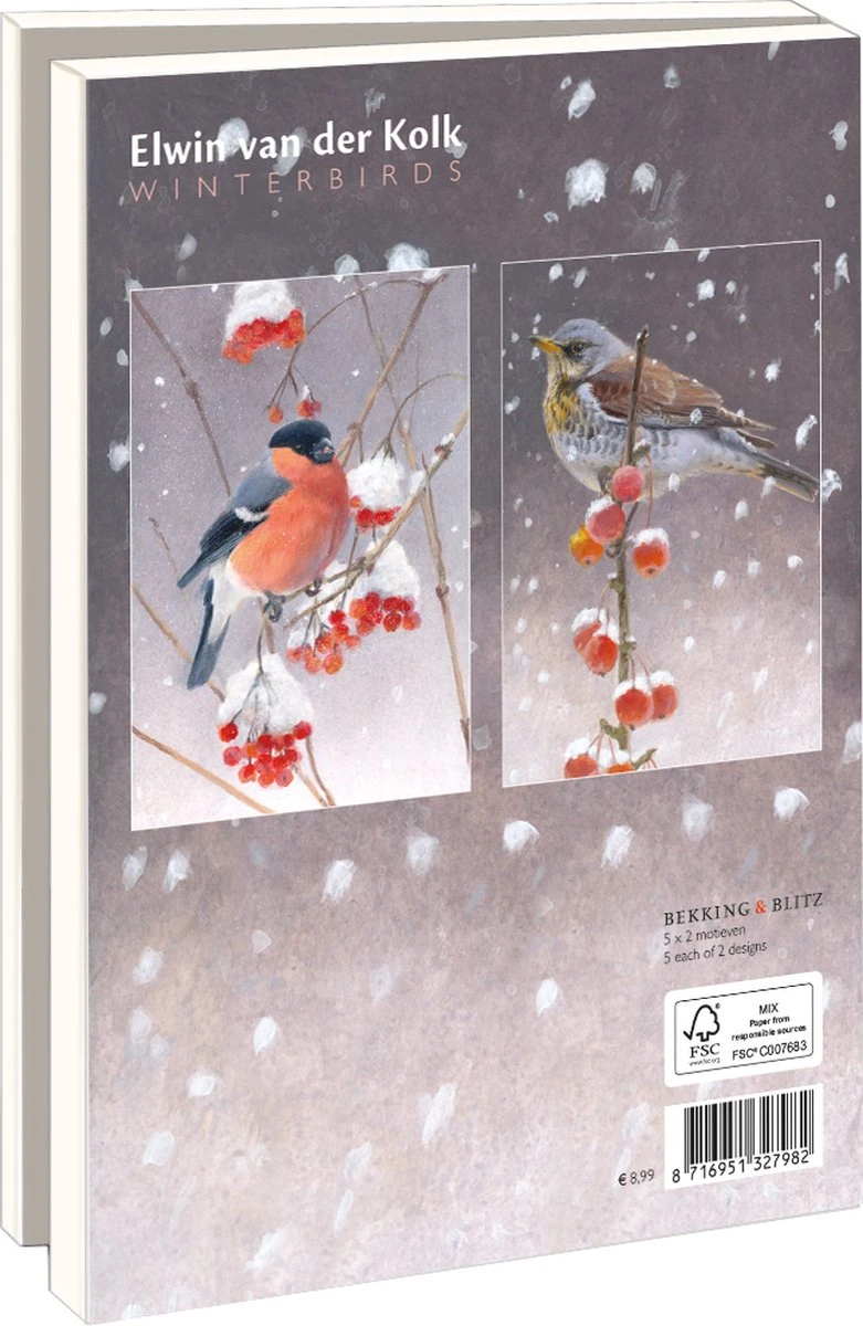 Bekking & Blitz - Dossier De Cartes De Noël - Set De Cartes De Noël - Cartes D'art - 10 Pièces - Y Compris Les Enveloppes - Design Uniek - Vogels - Oiseaux D'hiver - Oiseaux D'hiver - Elwin Van Der Kolk 4 Bekking & Blitz - Dossier De Cartes De Noël - Set De Cartes De Noël - Cartes D'art - 10 Pièces - Y Compris Les Enveloppes - Design Uniek - Vogels - Oiseaux D'hiver - Oiseaux D'hiver - Elwin Van Der Kolk – Image 2