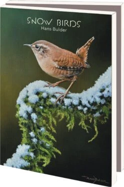Decoris Boutique 9 Bekking & Blitz - Dossier De Cartes De Noël - Set De Cartes De Noël - Cartes D'art - 10 Pièces - Y Compris Les Enveloppes - Design Uniek - Vogels Dans La Neige - Oiseaux Des Neiges - Hans Bulder
