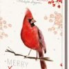 Bekking & Blitz - Dossier De Cartes De Noël - Set De Cartes De Noël - Cartes D'art - 10 Pièces - Y Compris Les Enveloppes - Design Uniek - Oiseaux D'hiver Rouges - Oiseaux D'hiver Rouges - Michelle Dujardin