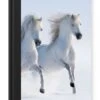 Carnet - Carnet D'écriture - Hiver - Paarden - Neige - Carnet - Format A5 - Bloc-notes - Noël - Cadeau - Cadeau De Noël Homme, Femme Et Enfant -Decoris Boutique 827x1200 112