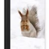 Cahier - Carnet D'écriture - Écureuil - Animal - Neige - Carnet - Format A5 - Bloc-notes - Noël - Cadeau - Cadeau De Noël Homme, Femme Et Enfant -Decoris Boutique 827x1200 205
