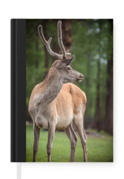 Carnet - Carnet D'écriture - Un Renne Dans Le Parc National Du Lac Khovsgol En Mongolie - Carnet - Format A5 - Bloc-notes - Noël - Cadeau - Cadeau De Noël Pour Hommes, Femmes Et Enfants