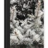 Carnet - Cahier - Hiver - Arbre - Branches - Carnet - Format A5 - Bloc-notes - Noël - Cadeau - Cadeau De Noël Pour Hommes, Femmes Et Enfants
