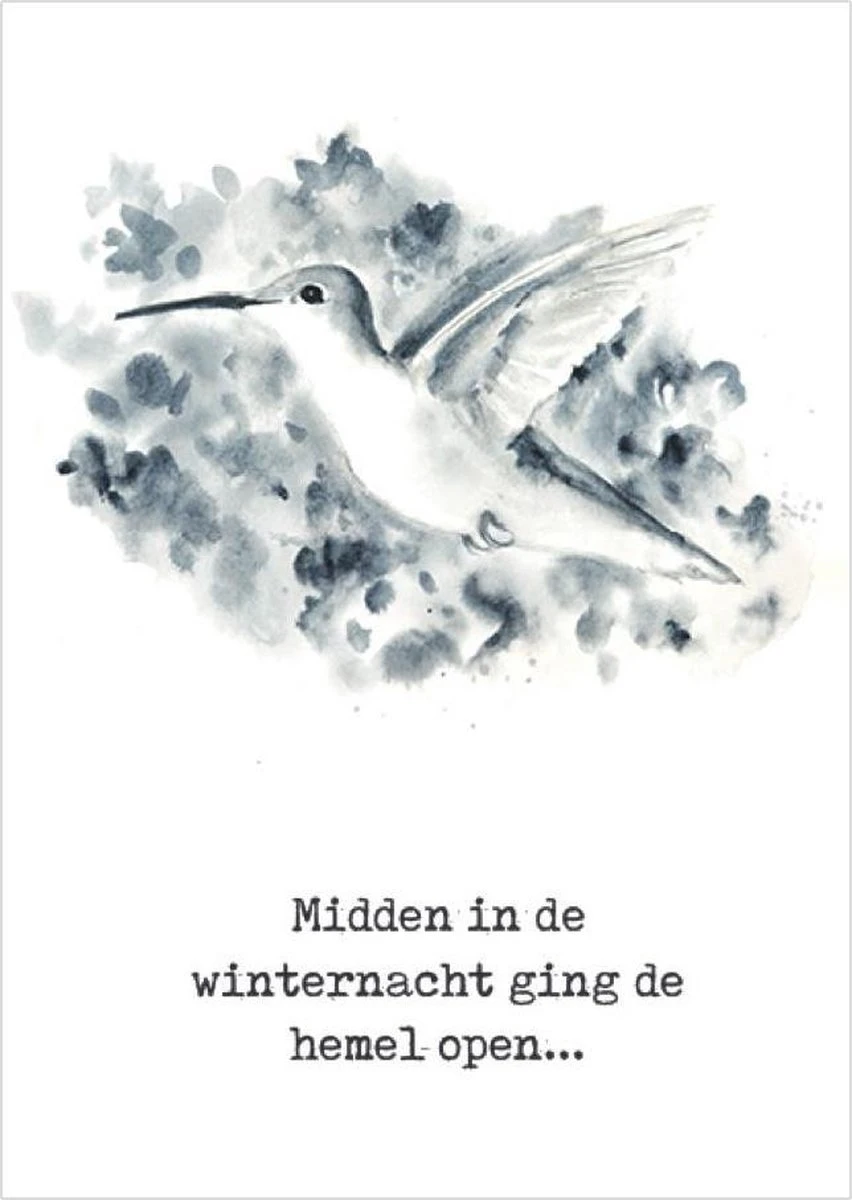 Cartes De Noël Chrétiennes | Forfait Avantage | 10 Cartes De Noël Avec Enveloppes | Oiseau Au Milieu De La Nuit D'hiver | Majestueusement 3 Cartes De Noël Chrétiennes | Forfait Avantage | 10 Cartes De Noël Avec Enveloppes | Oiseau Au Milieu De La Nuit D'hiver | Majestueusement